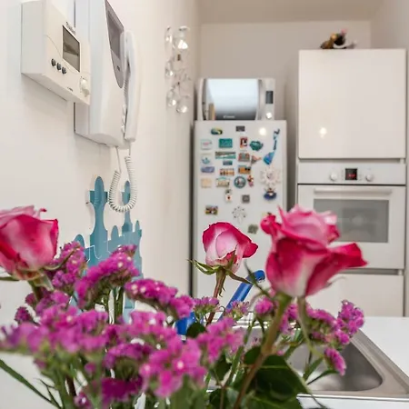 Apartman Shiny Zadar