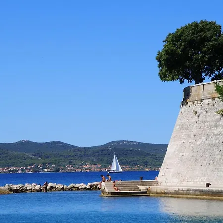 Shiny Zadar